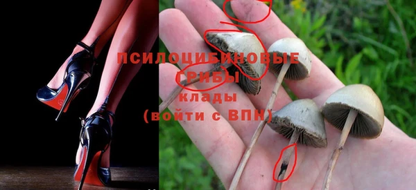 винт Верея