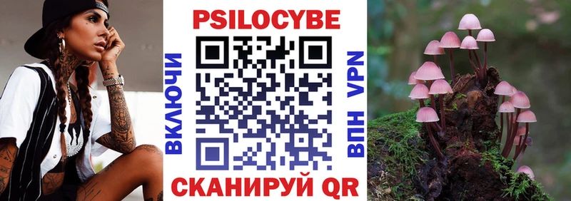 Псилоцибиновые грибы Psilocybine cubensis  блэк спрут онион  Касли 